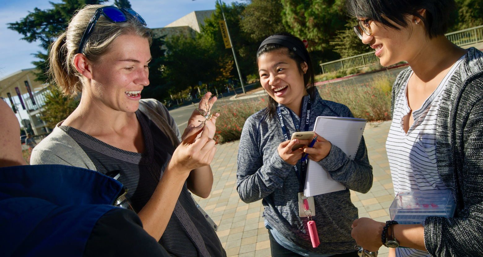 Dr. Rachel Vannette interacts with students in a class on pollinators 