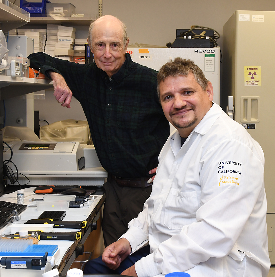UC Davis distinguished professor Bruce Hammock (left) and researcher Christophe Morisseau. (Photo by Kathy Keatley Garvey)