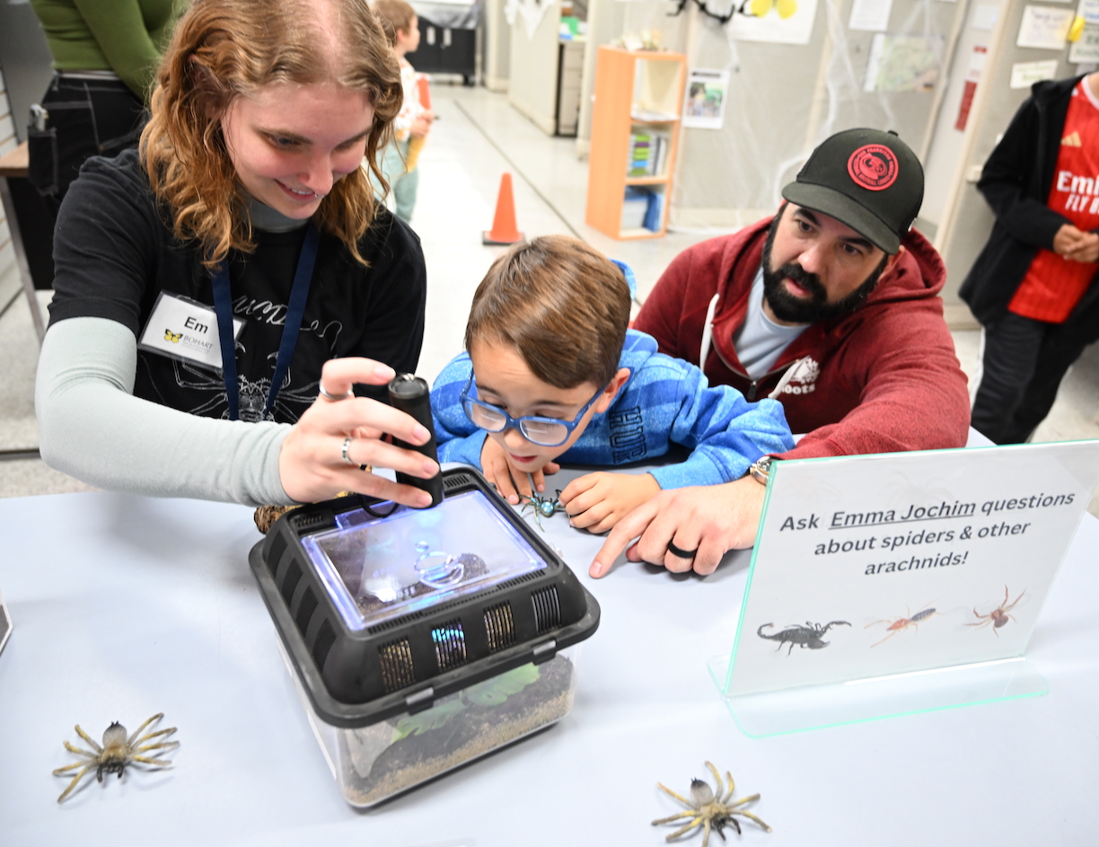 Doctoral candidate Emma Jochim of the Jason Bond lab discussing spiders at a Bohart Museum of Entomology open house. (Photo by Kathy Keatley Garvey)