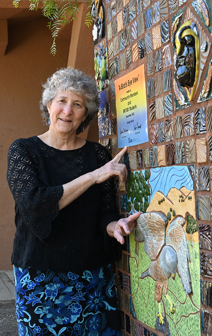 UC Davis distinguished professor Diane Ullman in front of plaque, "Bird's Eye View"