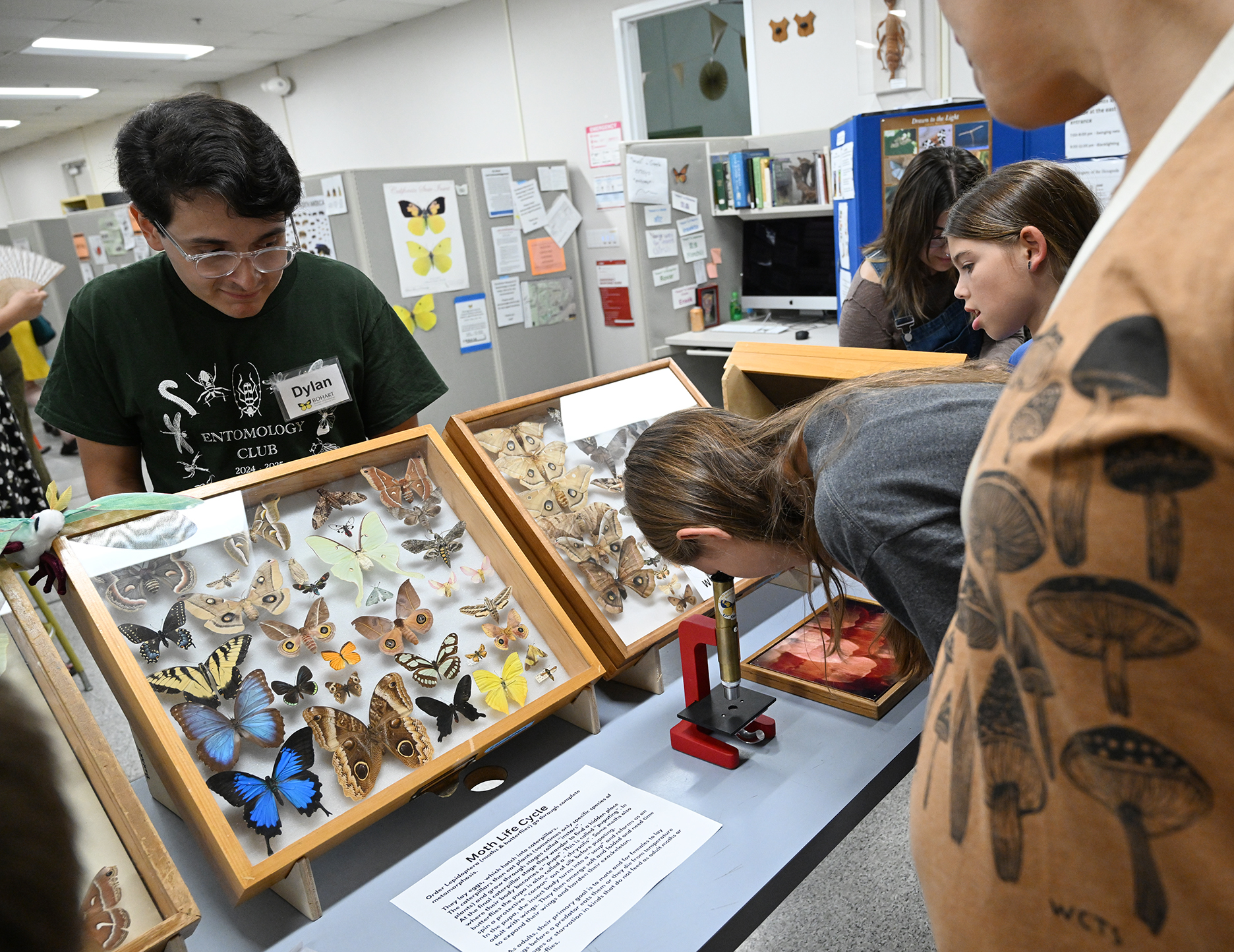 UC Davis entomology major Dylan Vega assisting visitors at a recent Bohart Museum of Entomology open house. He also will help staff the Bohart Museum open house on Oct. 5. (Photo by Kathy Keatley Garvey)