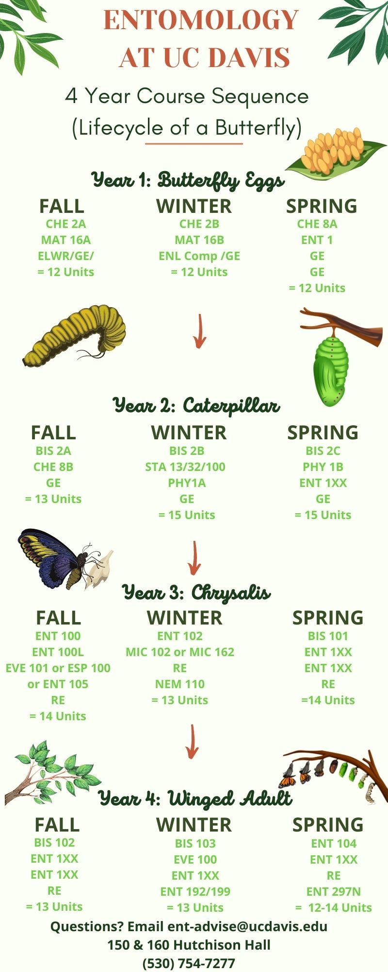 Entomology at UC Davis - 4 Year Course Sequence Graphic, hyperlink to PDF in body text to left.