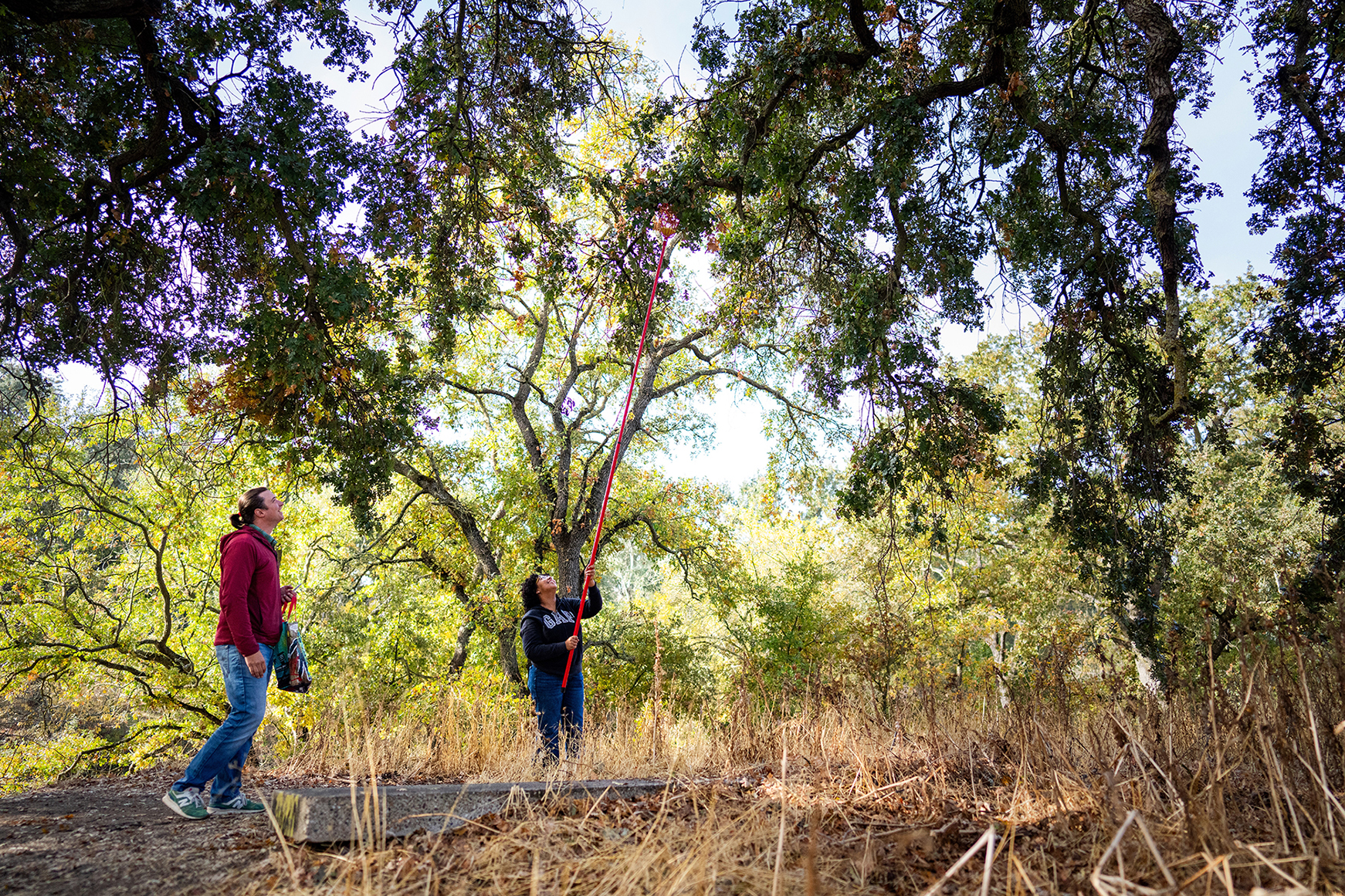 Assistant Professor Marshall McMunn leads a group of nine animal biology undergraduate students through the Cahill Riparian Preserve. This is part of the Animal Biology (ABI) 198 class on animal ecology in the field where students are completing their practicum with a study characterizing the impact of fire on acorn woodpecker granaries. (Photo by Jael Mackendorf)