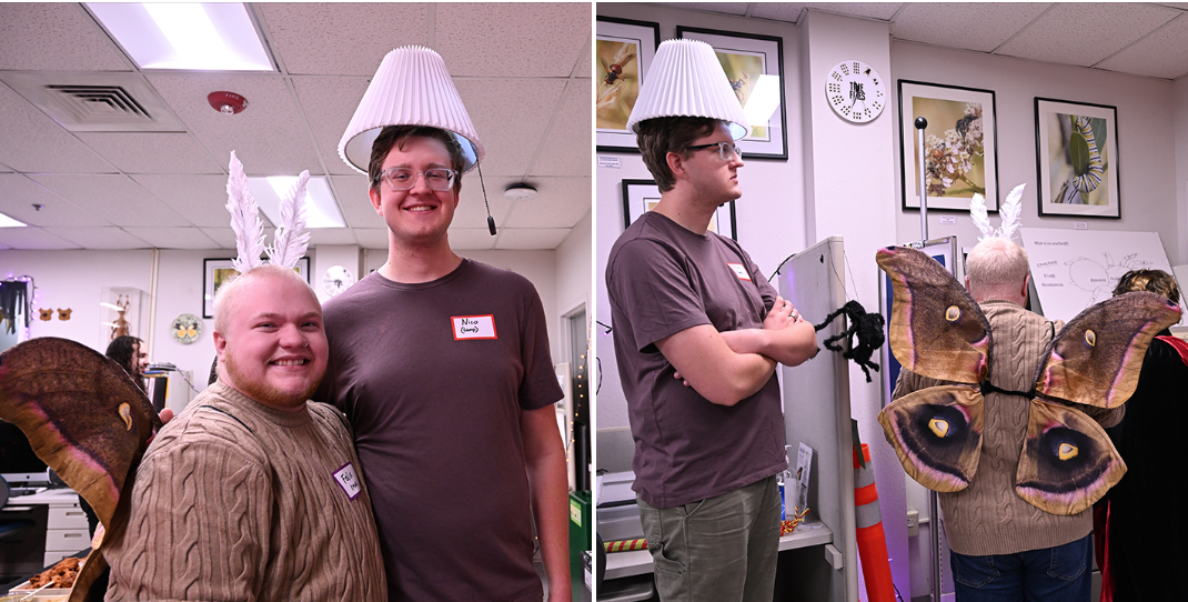 Reminiscent of a moth to a flame, UC Davis entomology alumnus Felix Duley came as a moth, while his partner, Nico Lauer wore a lampshade.  (Photos by Kathy Keatley Garvey)