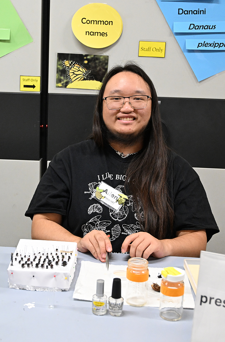 UC Davis student Allen Chew ready to greet visitors and discuss pinning techniques. (Photo by Kathy Keatley Garvey)