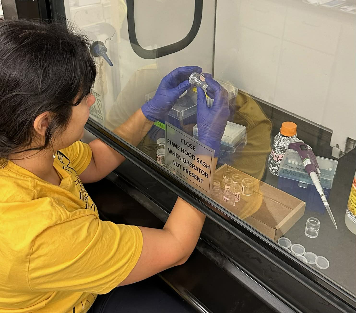 A person in a yellow shirt wearing gloves conducts a lab experiment inside a fume hood.