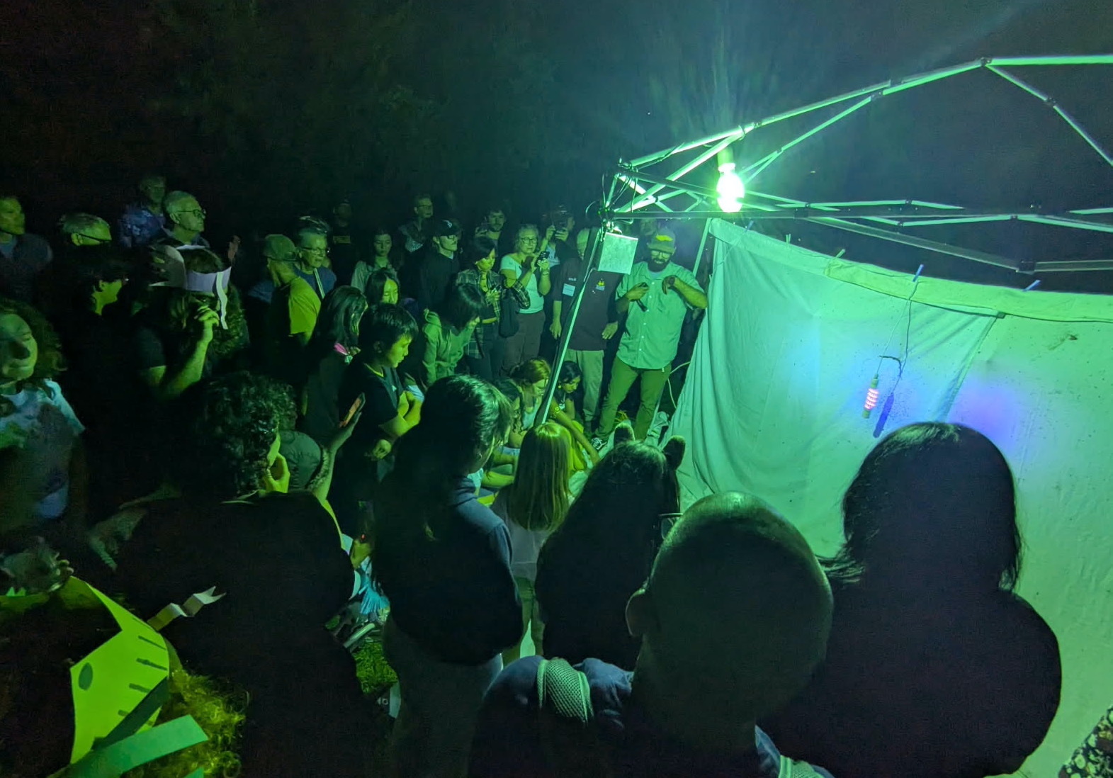 Night outdoor crowd gathered under green lights around a white projection sheet
