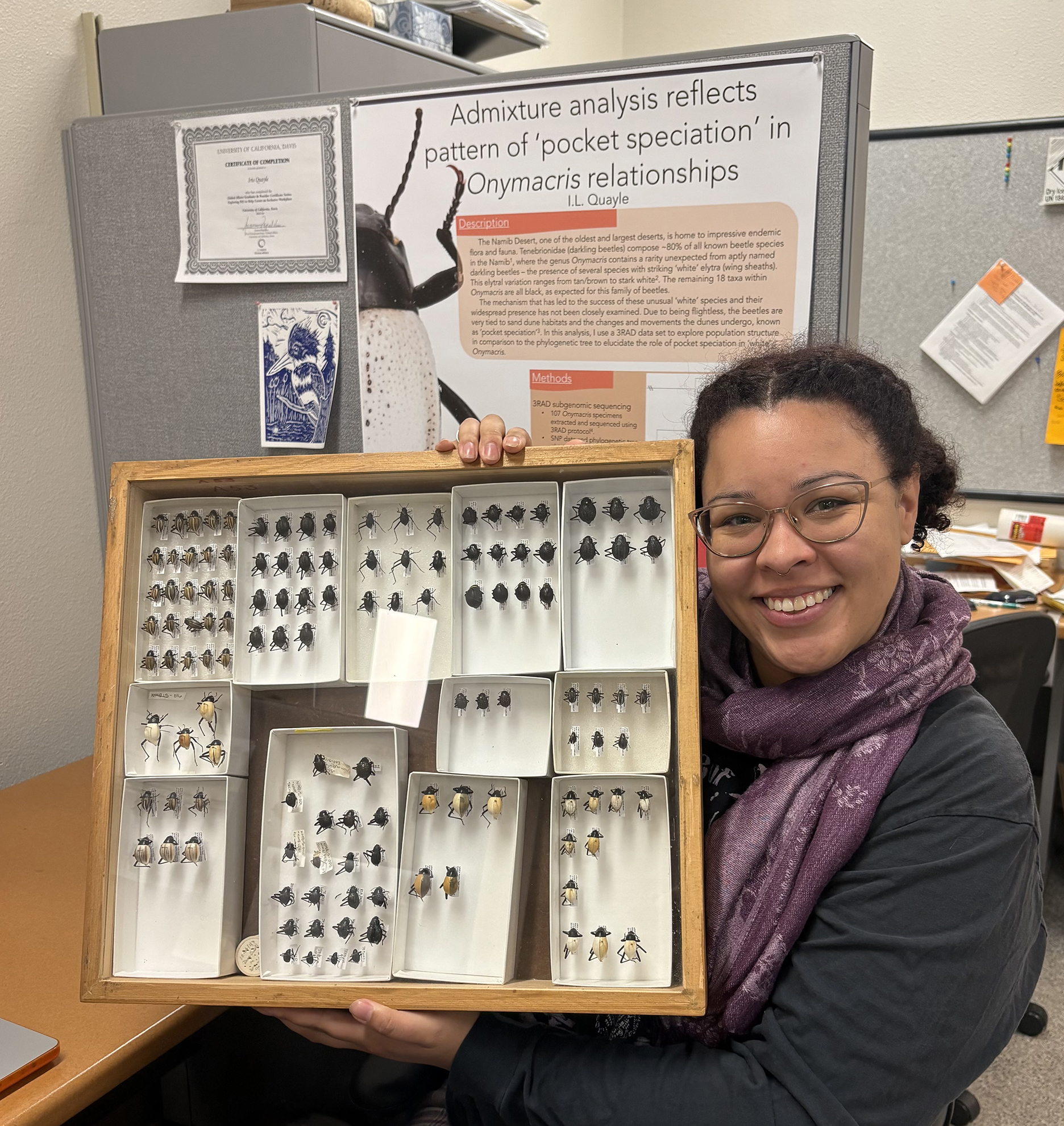 Doctoral student Iris Quayle studies darkling beetles.