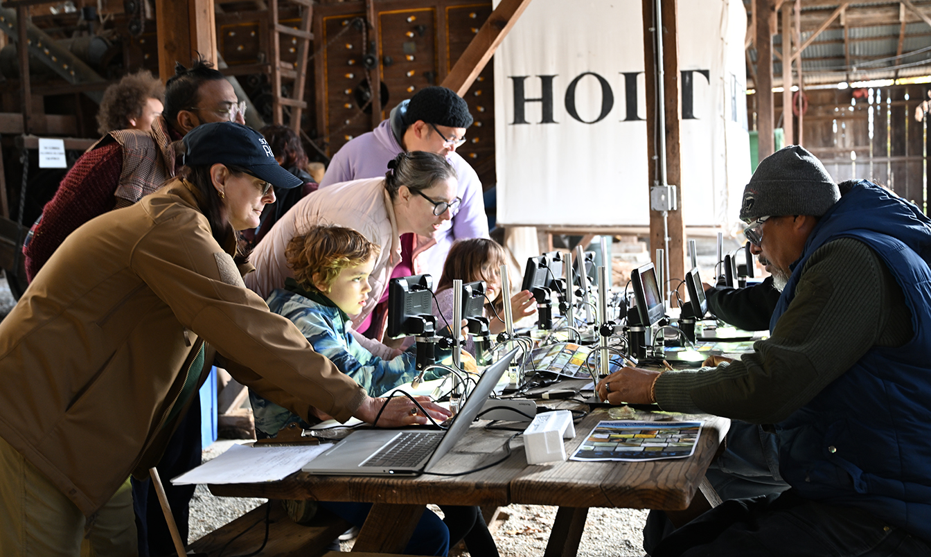Participants in a 2024 workshop at Capay Open Space Regional Park use microscopes to examine organisms collected from Cache Creek. (Photo by Kathy Keatley Garvey)
