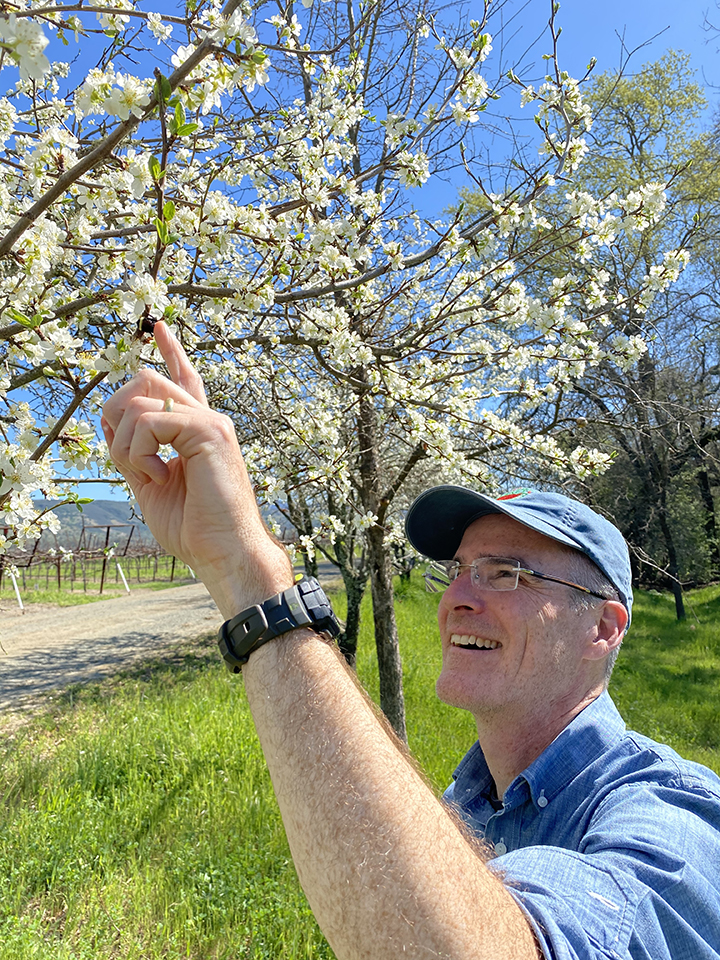 Professor and pollination ecologist Neal Williams spots a bumble bee.