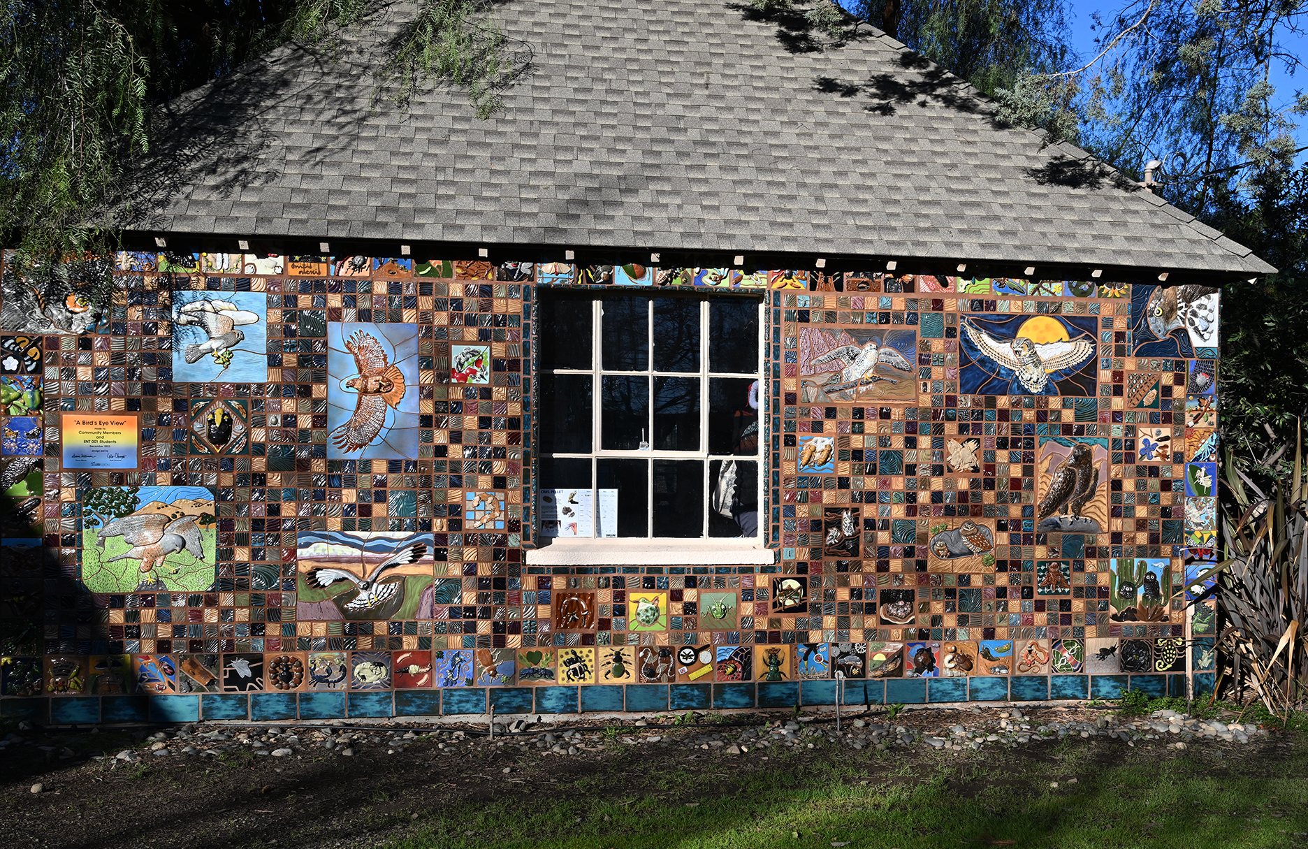 "A Bird's Eye View" mural at the California Raptor Center on Old Davis Road. (Photo by Kathy Keatley Garvey)