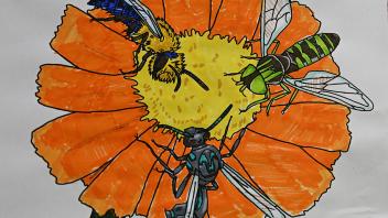 Abby Lehner of the Neal Williams lab created this drawing of pollinators on a flower for Bohart Museum open house attendees to cover. (Photo by Kathy Keatley Garvey)