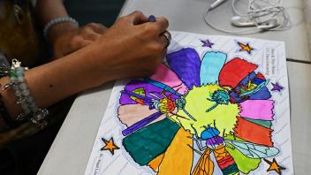 Helen Ortiz, a first-year entomology major, is engaged in coloring pollinators on a flower. (Photo by Kathy Keatley Garvey)