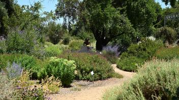 The path to see Miss Bee Haven.
