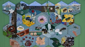 Native bee mural on the newly painted garden shed