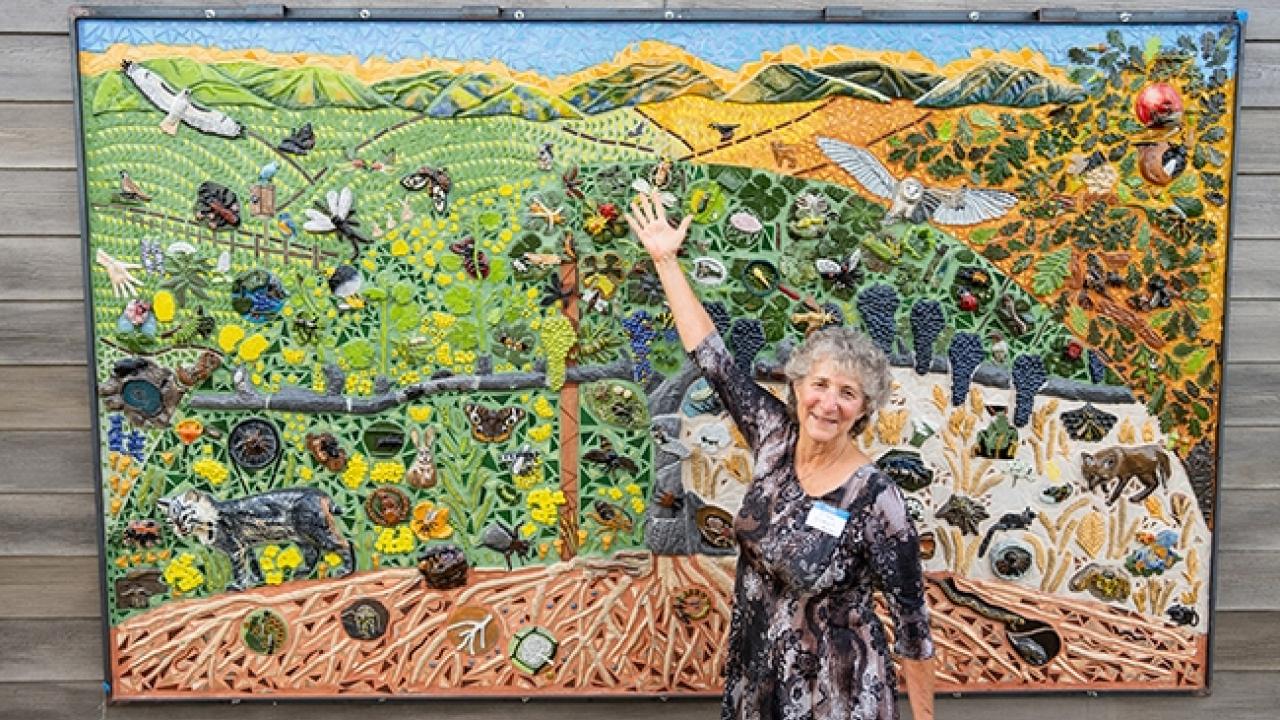 UC Davis distinguished professor Diane Ullman in front of the "Secret Life of Vineyards," created by the students in Entomology 001. It graces an outer wall of the Matthiasson Winery on Dry Creek Road, Napa. Jael Mackendorf, UC Davis College of Agricultural and Environmental Sciences)