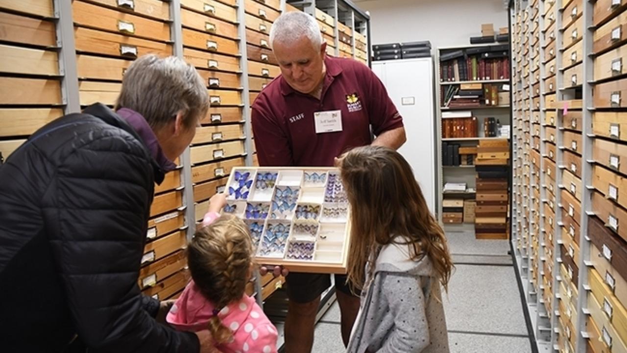 Jeff Smith, curator of the Lepidoptera collection at the Bohart Museum, shows visitors some of the collection. (Photo by Kathy Keatley Garvey)