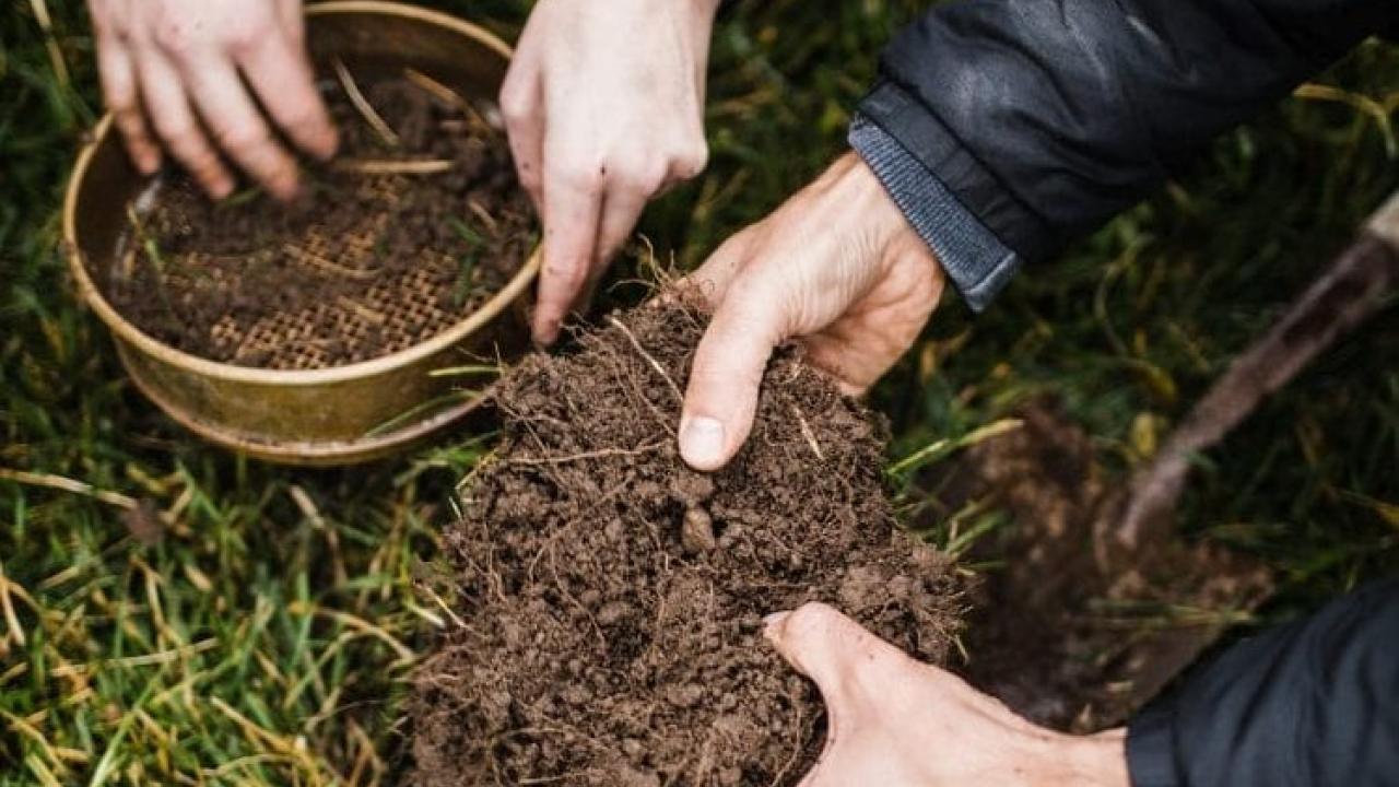 Hands in soil