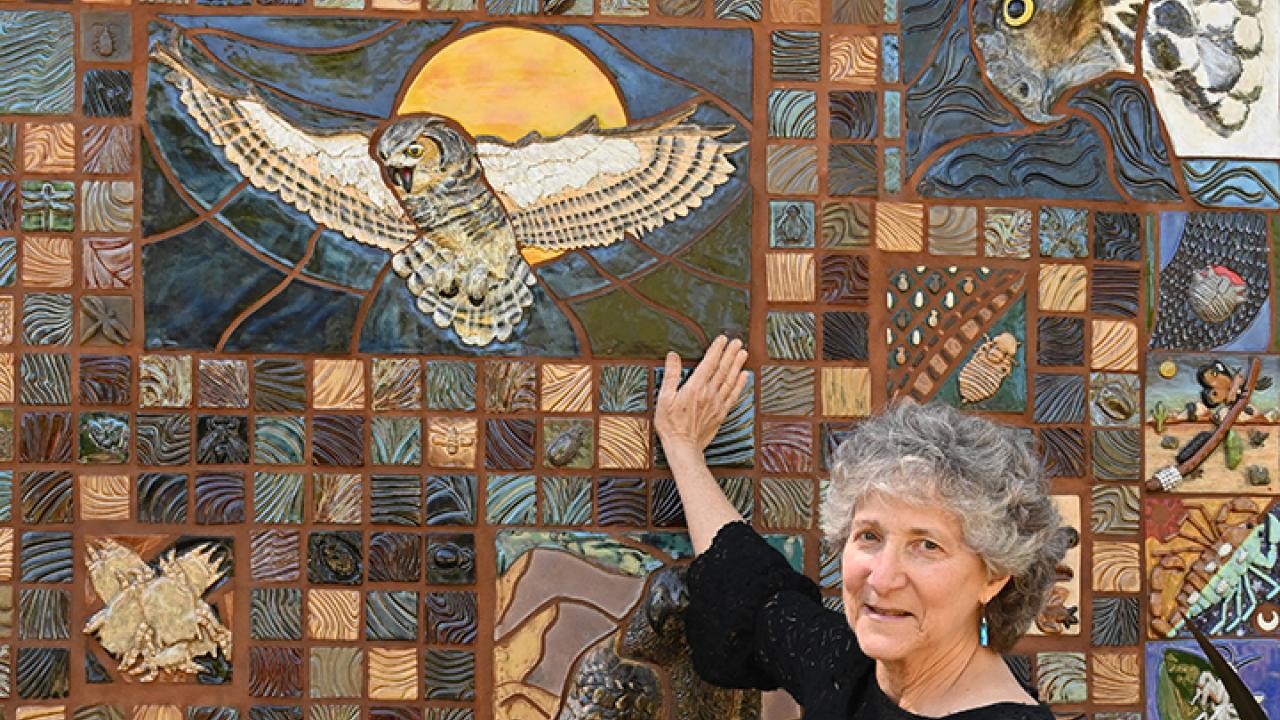 UC Davis distinguished professor Diane Ullman with "A Bird's Eye View." Her last class and exhibit is Thursday, June 6. (Photo by Kathy Keatley Garvey)