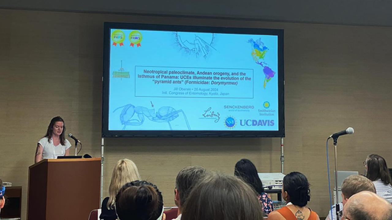 UC Davis doctoral alumna Jill Oberski delivering her award-winning presentation on ants. (Photo by Jessica Gillung)