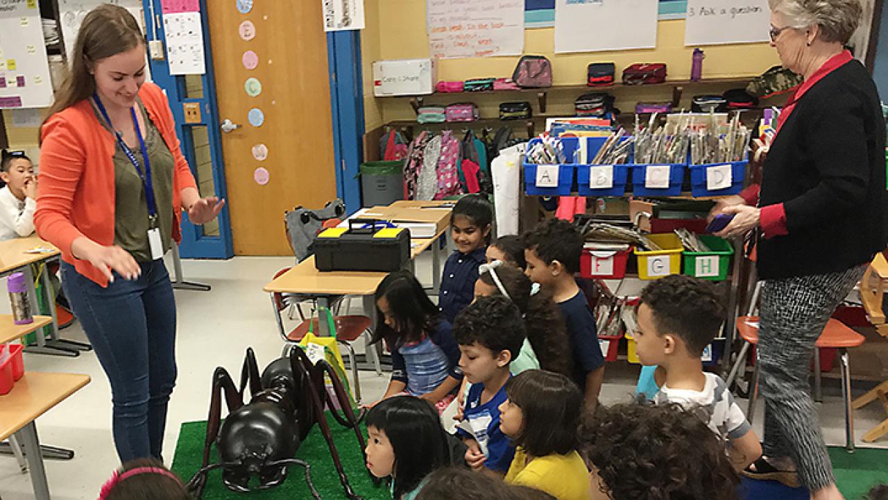 Nicole Korzeniecki, now Nicole Keough, leading an outreach event. As an undergraduate student, she was volunteering at a public ESL (English-as-second language) elementary school, teaching first-grade students about ant physiology and anatomy.
