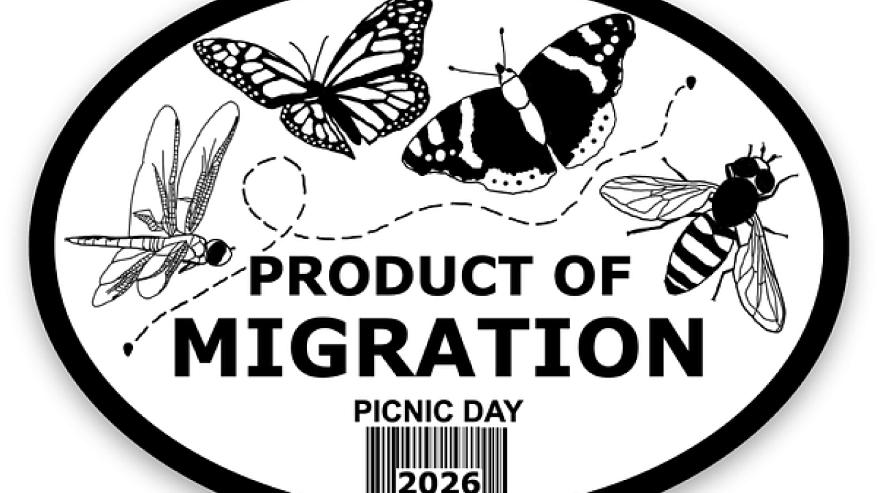 Black-and-white oval logo with butterflies, bee and dragonfly; text 'PRODUCT OF MIGRATION' and 'PICNIC DAY 2026'