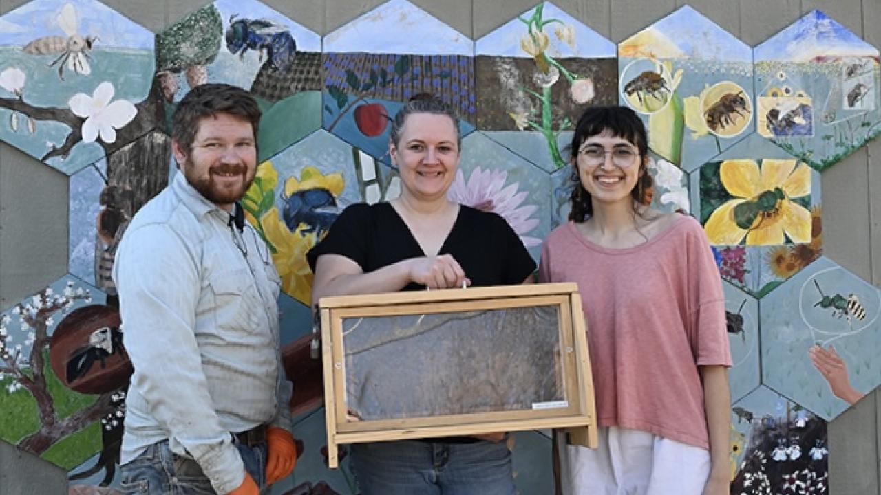 The UC Davis Haven Bee Team (Photo by Kathy Keatley Garvey)