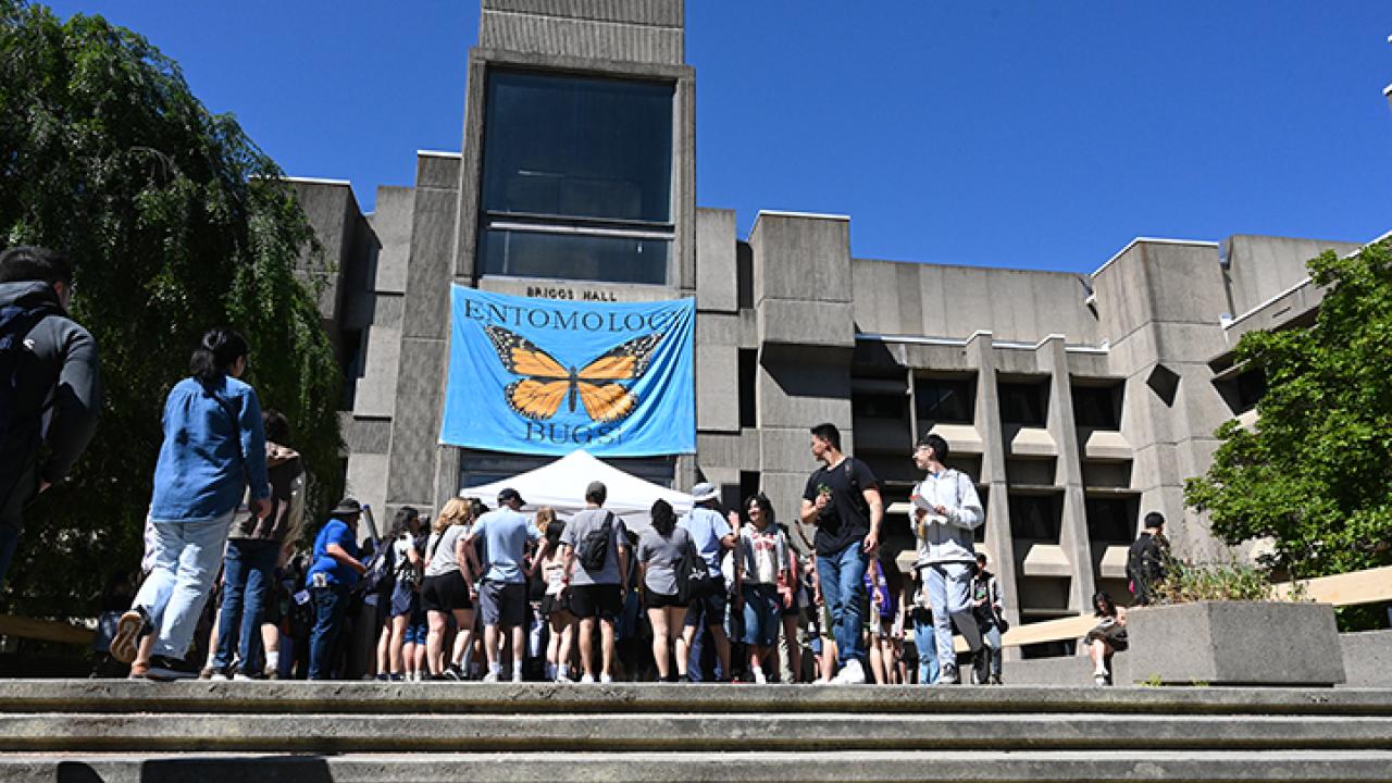 A crowd begins to gather at Briggs Hall during the 2024 UC Davis Picnic Day. (Photo by Kathy Keatley Garvey)