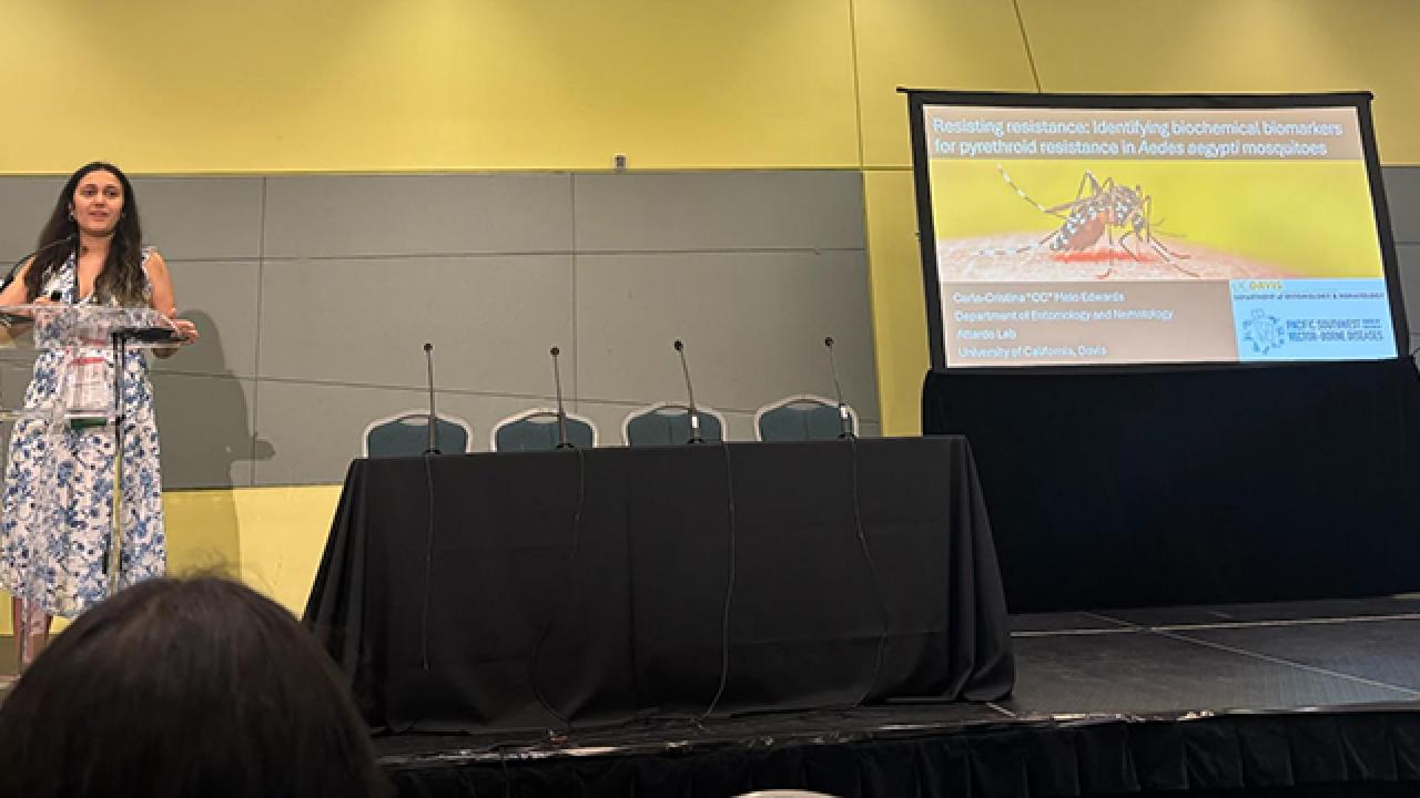 UC Davis doctoral stuent CC Edwards giving presentation at the American Mosquito Control Associaton conference
