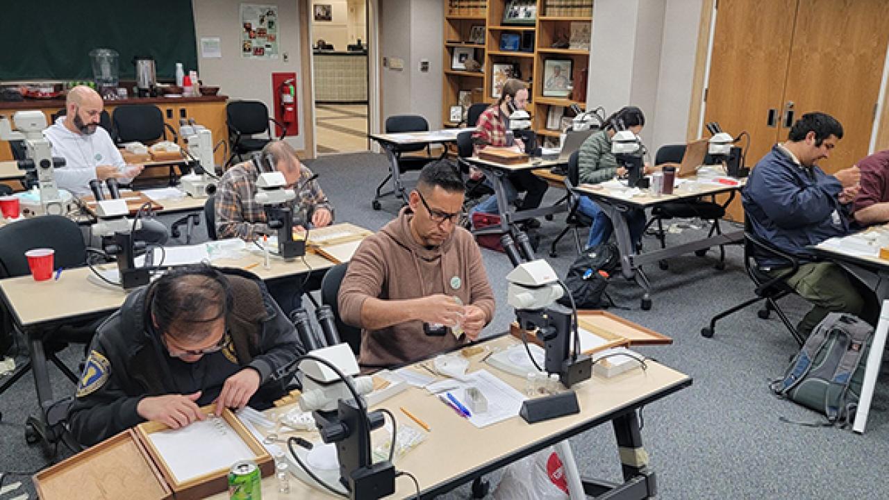 Participants in the fruit fly-identification workshop at the California Department of Food and Agriculture's Plant Pest Diagnostics Laboratory. (Photo by Luc Leblanc)