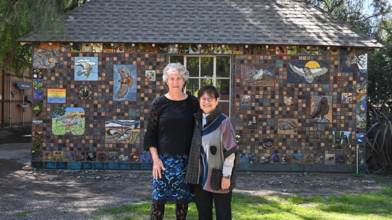 UC Davis distinguished professor Diane Ullman of the Department of Entomology and Nematology and Gale Okumura, Department of Design faculty emerita, in front of "A Bird's Eye View."