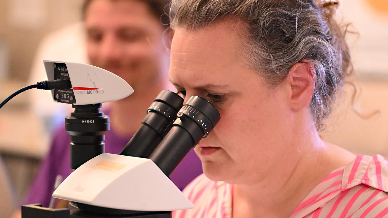 Bee scientist Elina Nino, professor of Cooperative Extension, peers through a microscope. (Photo by Kathy Keatley Garvey)