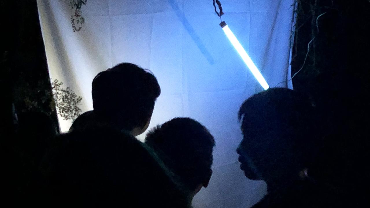 Blacklighting Is Part of Moth Night at the Bohart Museum of Entomology. (Photo by Kathy Keatley Garvey)