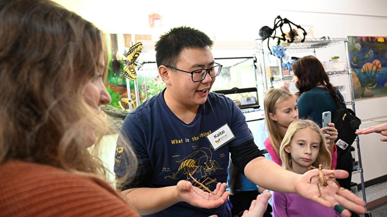 Kaitai Liu, shown here volunteering at the petting zoo at the Bohart Museum of Entomology, is the recipient of the 2025 Dr. Stephen Garczynski Undergraduate Research Scholarship. (Photo by Kathy Keatley Garvey)