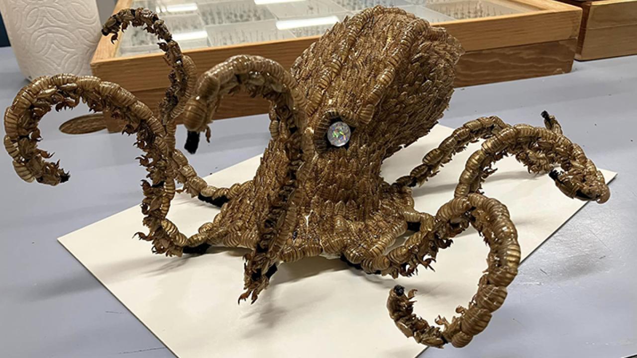 A kraken sculpture of an octopus made with cicada molts. (Photo by Allen Chew)