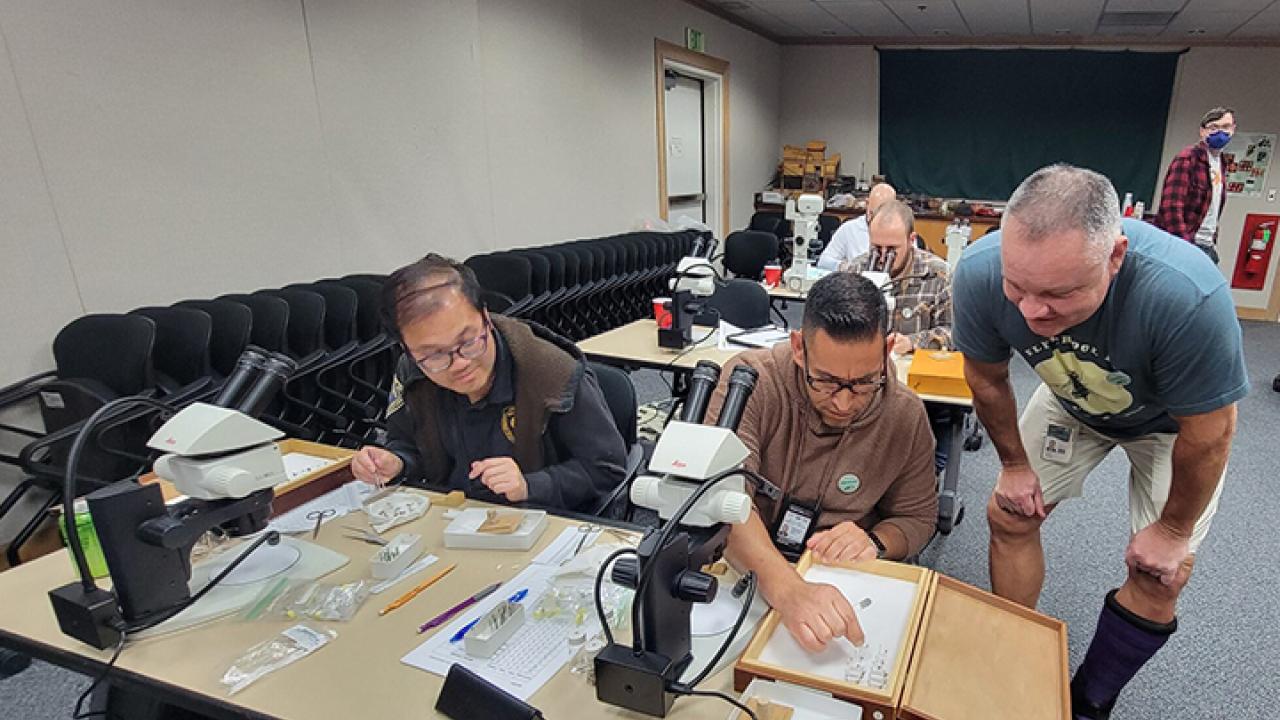 CDFA senior insect biosystematist Martin Hauser (kneeling) assisting with the training.