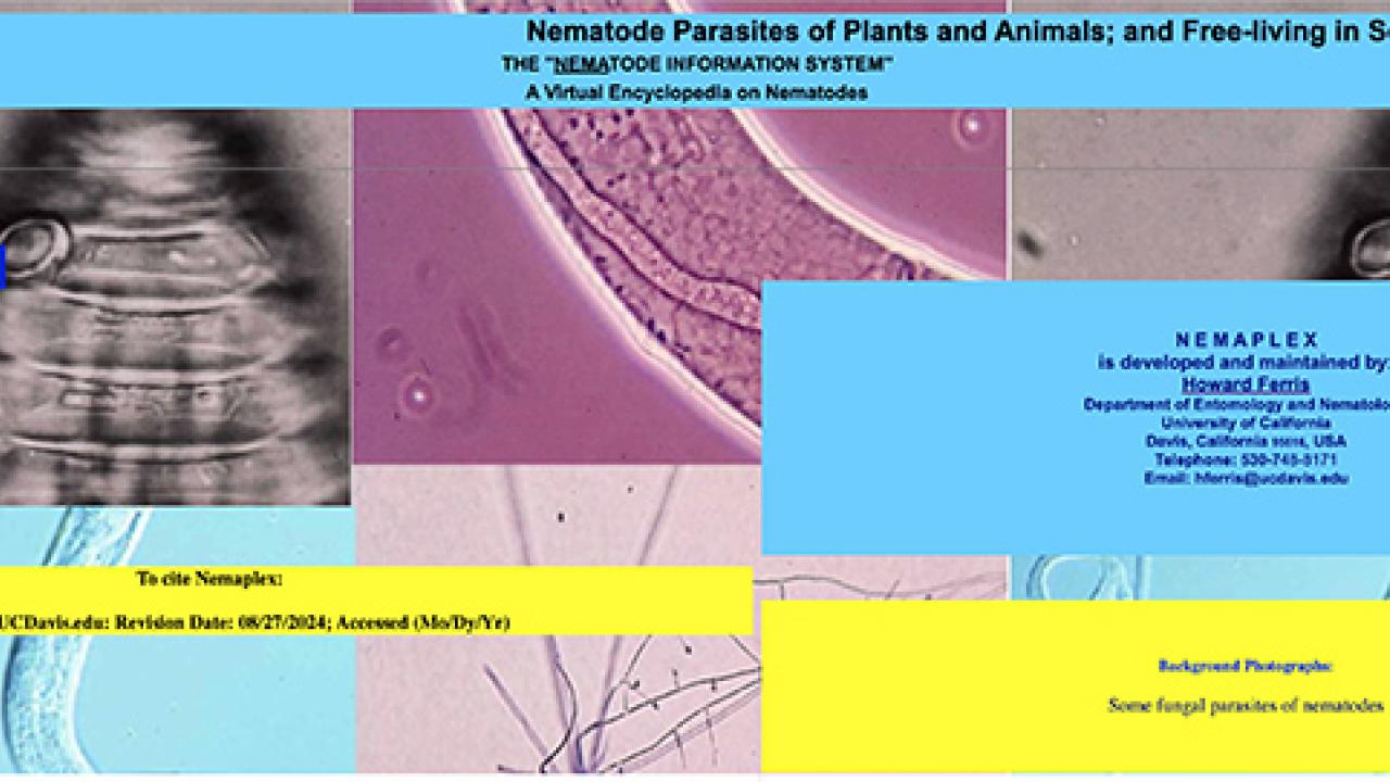Nemaplex website developed and maintained by Howard Ferris