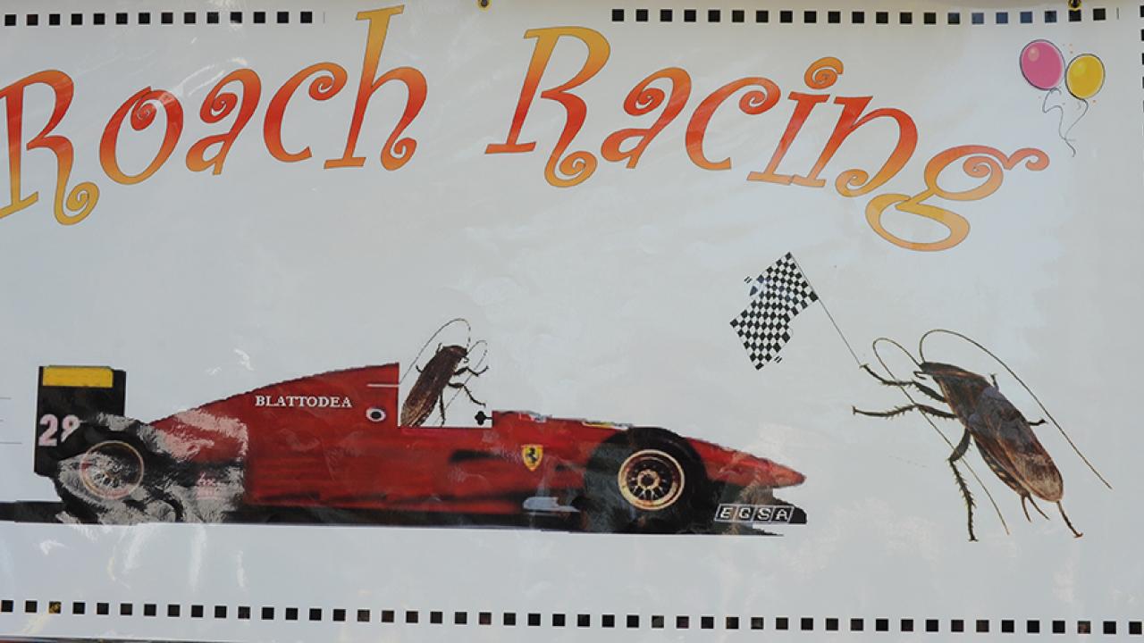 Banner graphic reading "Roach Racing" with a red race car and large cockroach