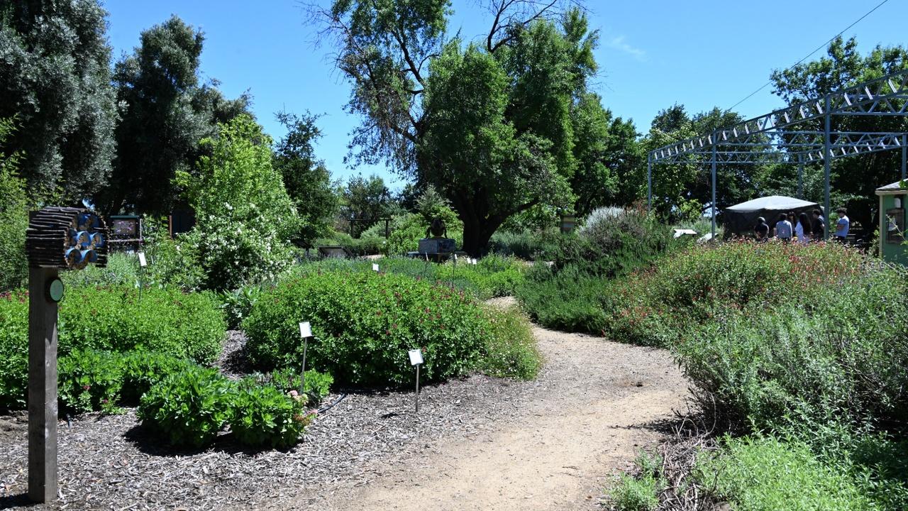 Winding gravel path through a sunny botanical garden with green shrubs and treesU