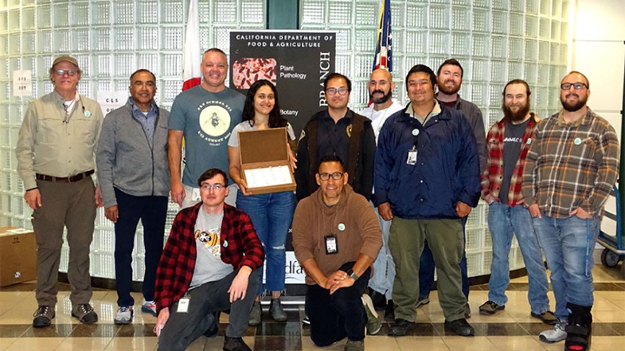 Participants in fruit fly-identification workshop at CDFA