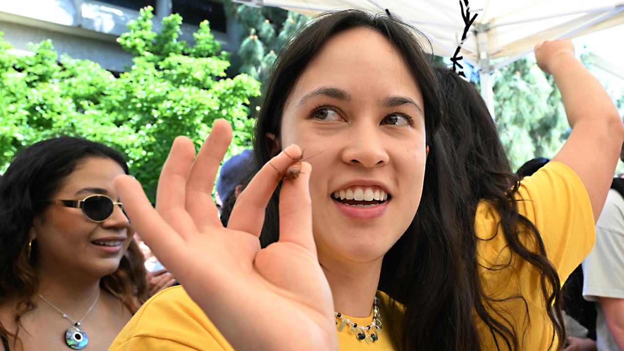 Doctoral student Veronica Casey holds a cockroach. (Photo by Kathy Keatley Garvey)