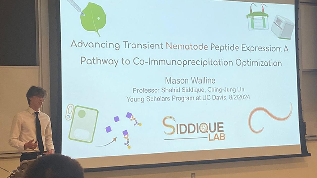 Mason Walline delivering his research presentation. He competed against some 35 students and won second place.