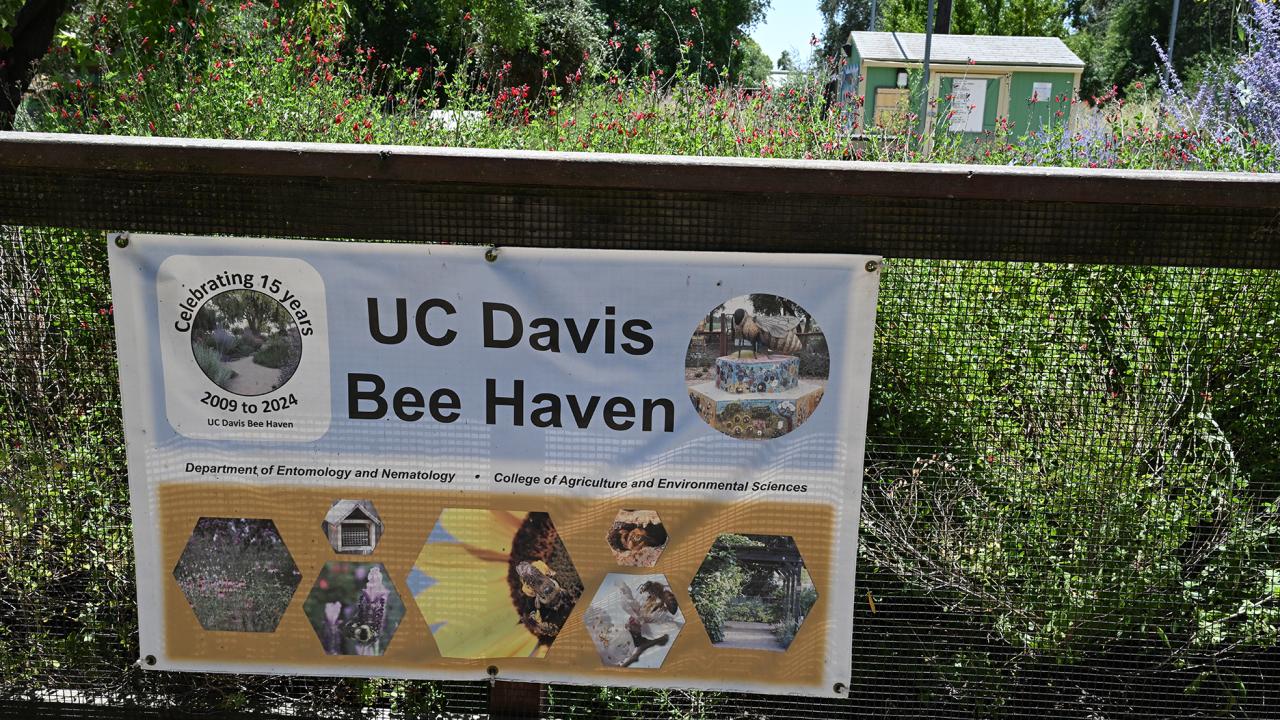 Entrance to the UC Davis Bee Haven