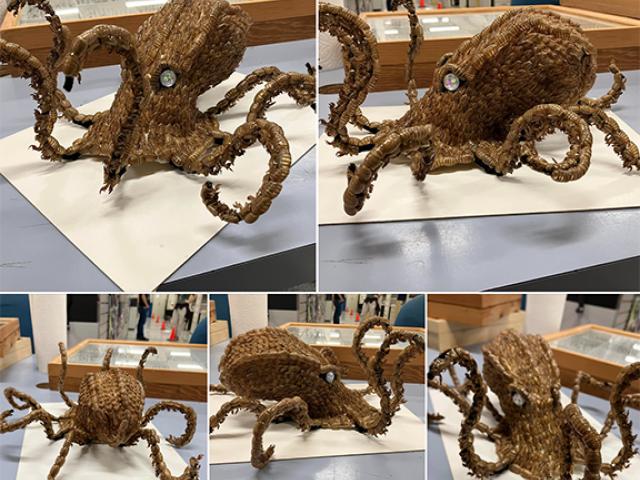 Varying views of Allen Chew's kraken sculpture of an octopus made of cicada molts.