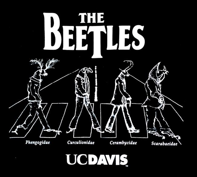 The Beetles T-shirt is a popular seller for EGSA.