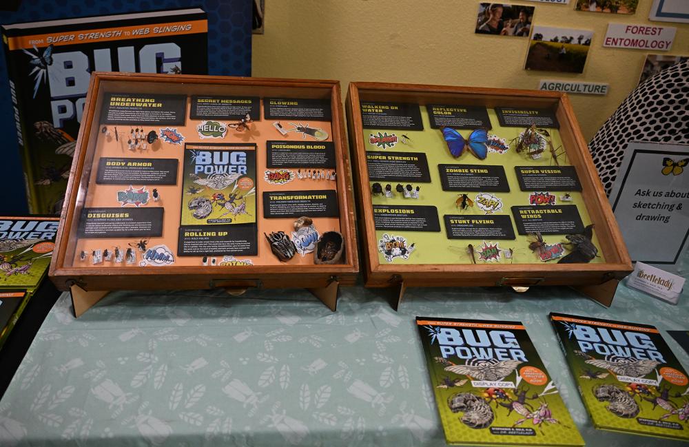 Two open wooden display boxes with pinned insects and butterflies on a table