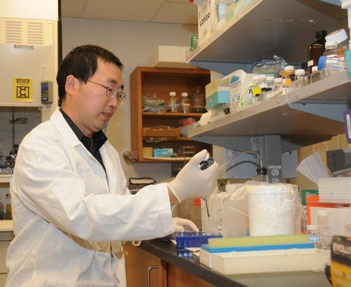 Professor Jun-Yan Liu as a postdoctoral fellow in the Bruce Hammock lab, UC Davis. This image was taken in 2010. (Photo by Kathy Keatley Garvey)