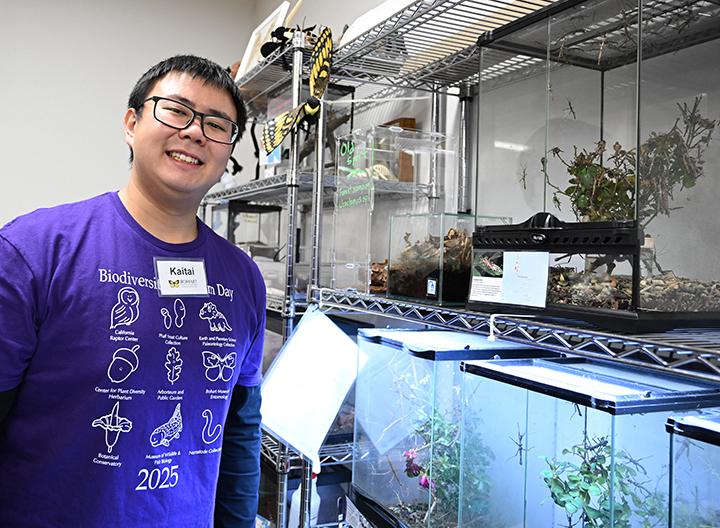 Kaitai Liu is the recipient of the 2025 Dr. Stephen Garczynski Undergraduate Research Scholarship from the Pacific Branch, Entomological Society of America. (Photo by Kathy Keatley Garvey)
