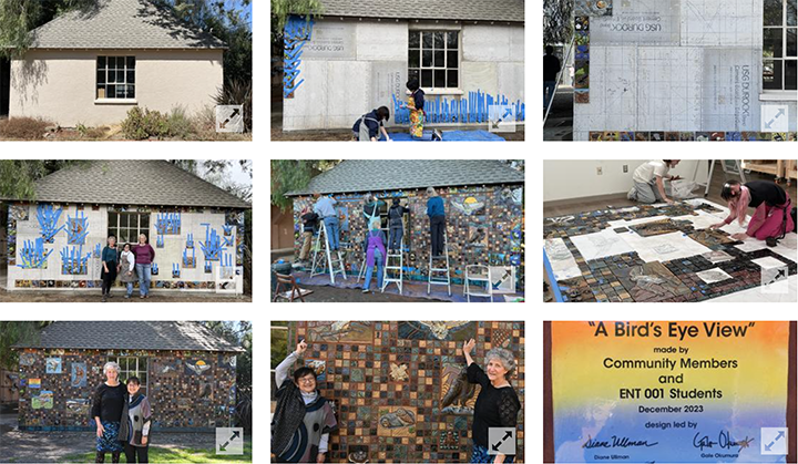 The making of 'A Bird's Eye View' project at the California Raptor Center