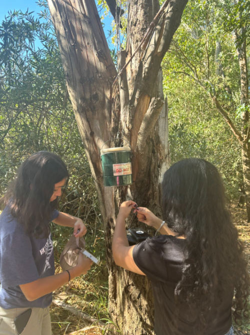 May 2025 ENT Student of the Month: Yarely Aguilar
